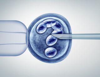 IVF embryo with a question mark at its center