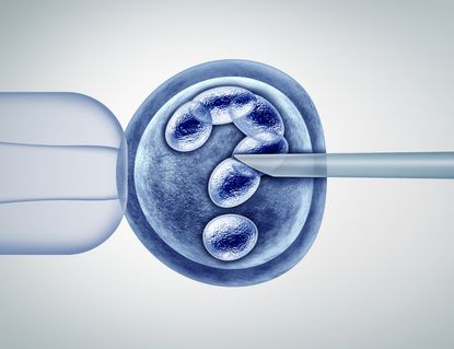 IVF embryo with a question mark at its center