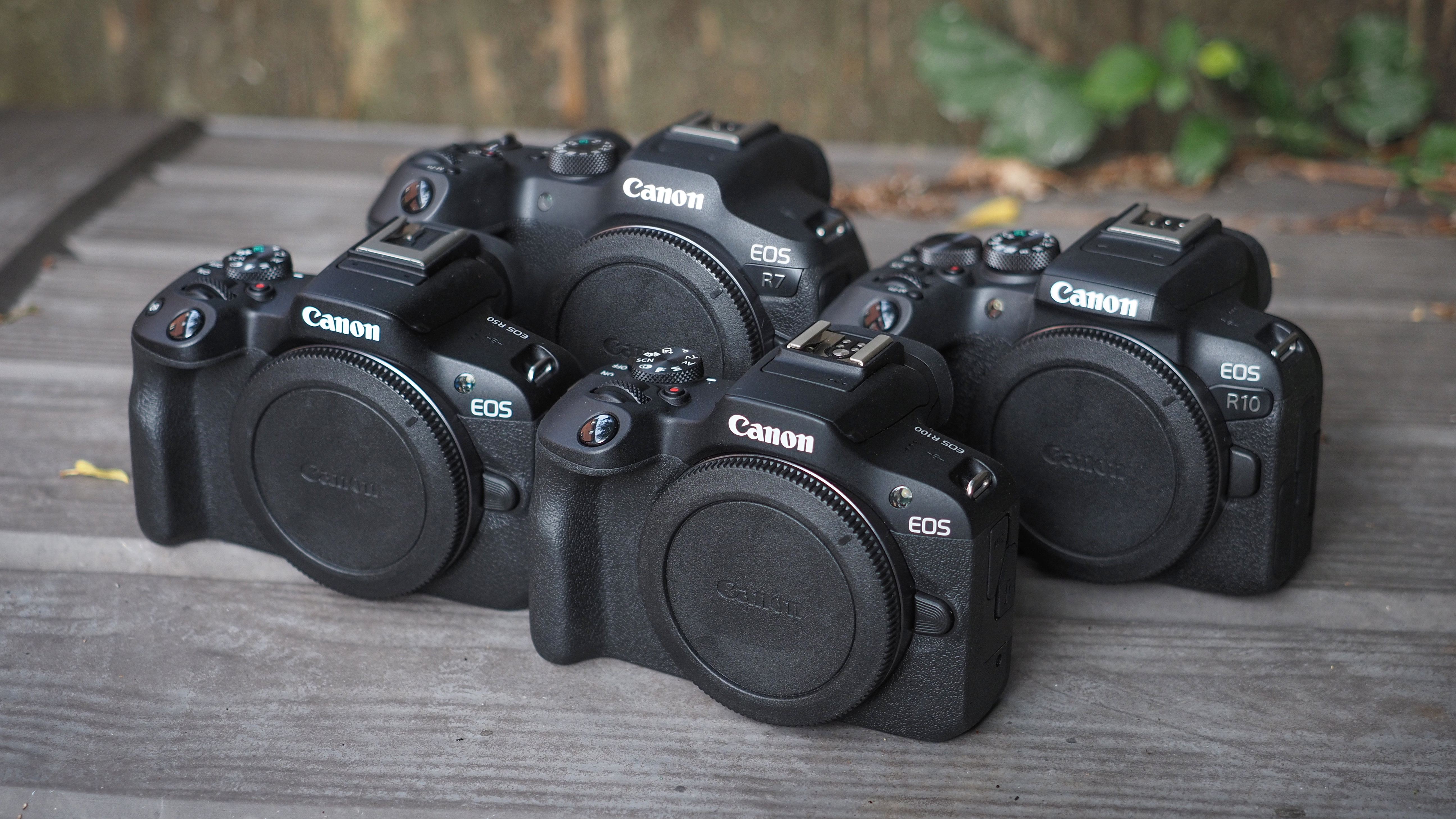 Canon APS-C cameras on a wooden surface