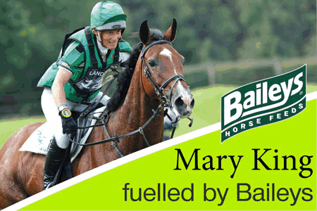 Baileys-Burghley.gif