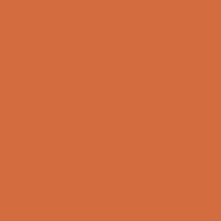 Rhumba orange paint from Benjamin Moore