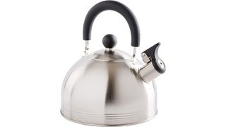 best tea kettle stovetop