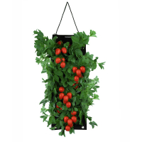 Organic Hanging Roma Tomato Growing Kit | Was $29.99, now $18.99