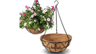 hanging planter