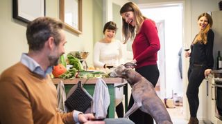 Dog stealing food off table