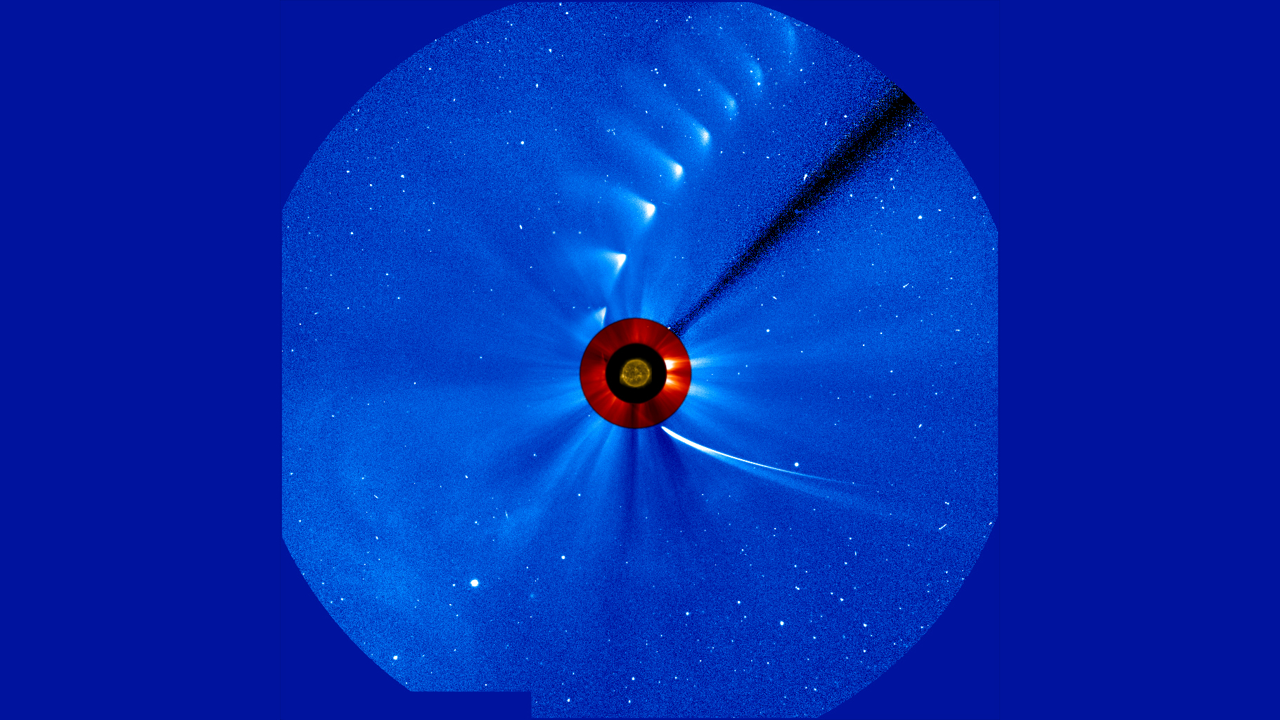 Comet ISON appears from the bottom right of the image and sweets up towards the upper right. The striking image was captured by the ESA/NASA Solar and Heliospheric Observatory with an image of the sun at the center from NASA’s Solar Dynamics Observatory.