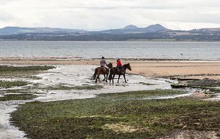 Equine Journeys: The British Horse World by Hossein Amirsadeghi