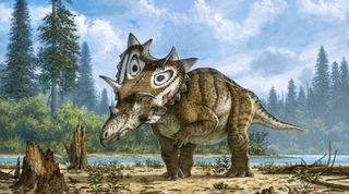 Illustration of the dinosaur Spiclypeus shipporum.