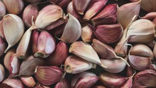 Foods that help hay fever: garlic