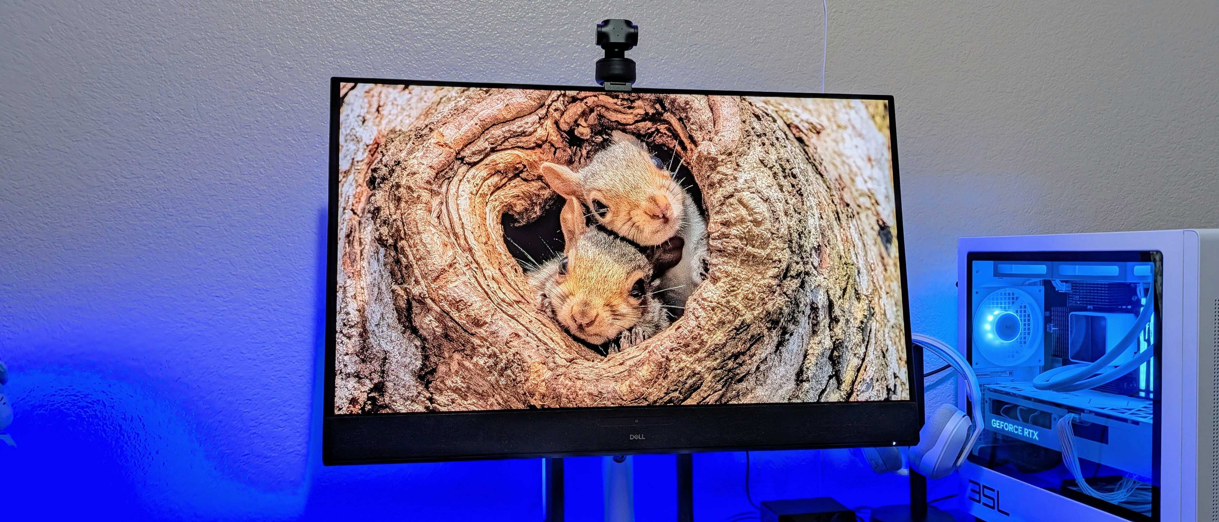 Image of the Dell 32 Plus 4K QD-OLED Monitor (S3225QC).