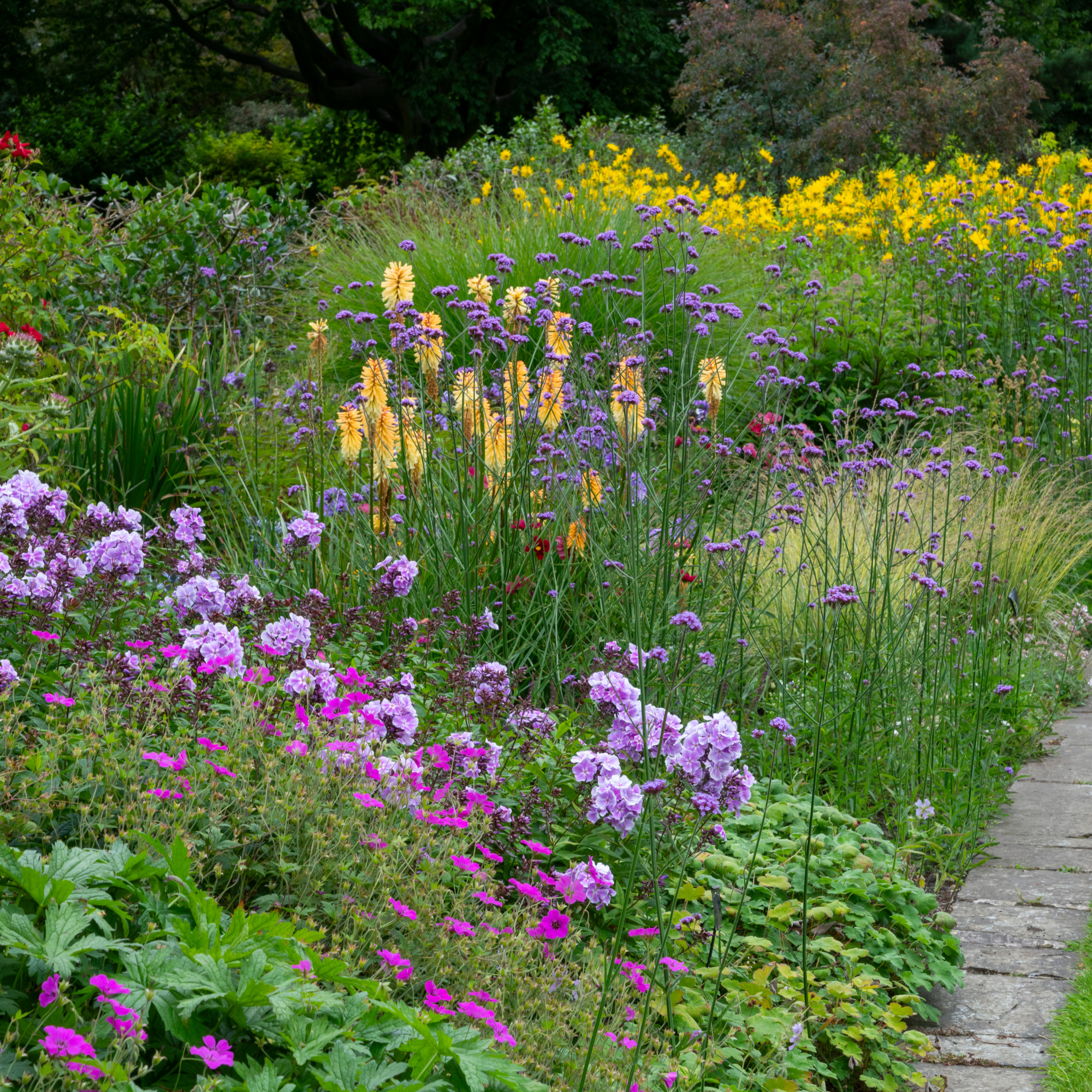 Herbaceous border at Sheffield Botanical Garden, South Yorkshire, England