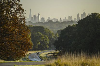 Richmond Park