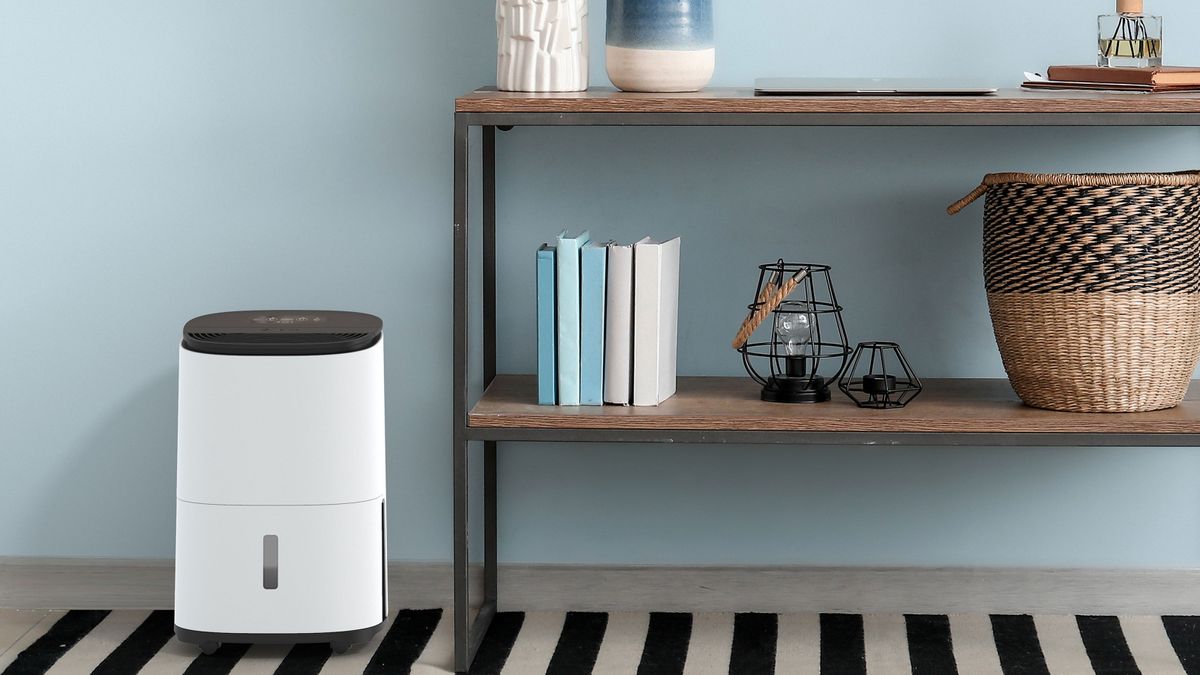 Dehumidifier in blue hallway next to shelves