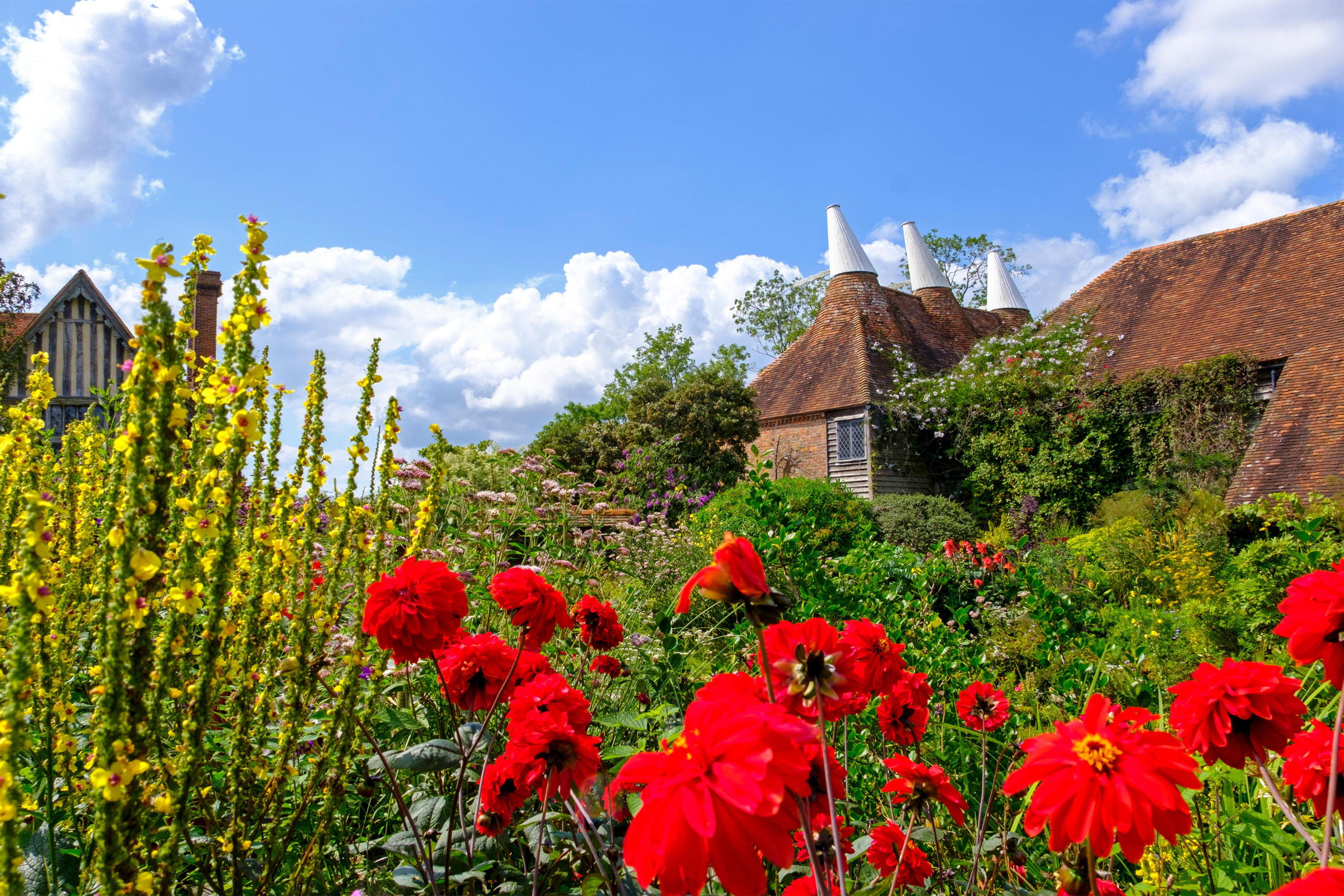 The Oast Houses and gardens at Great Dixter. Poppies burst with red in the foreground