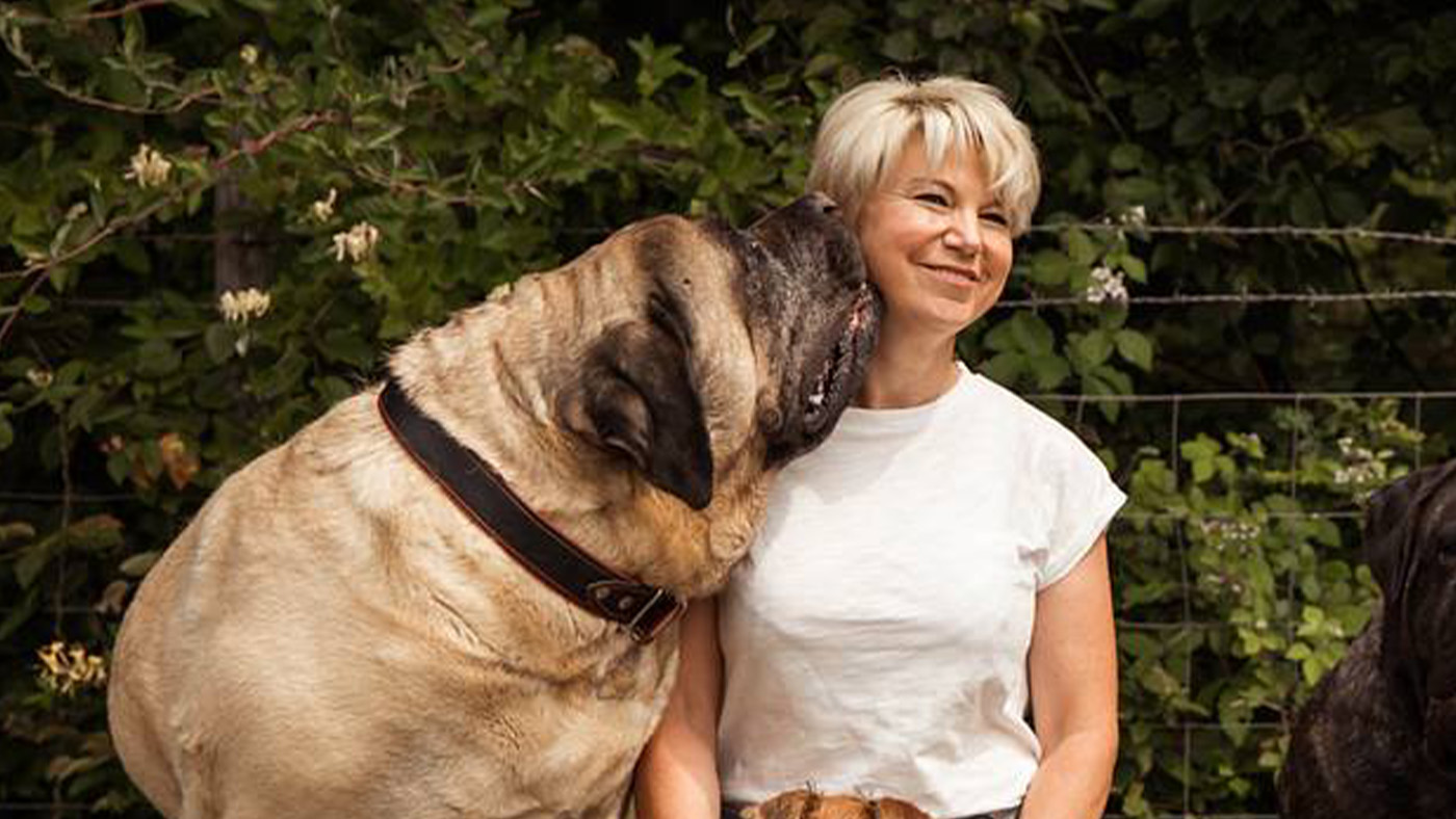 Helen’s mastiff Neville licking her cheek