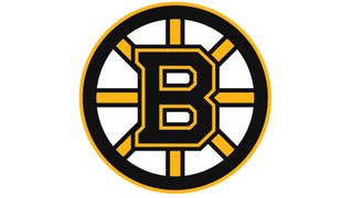 Boston Bruins logo