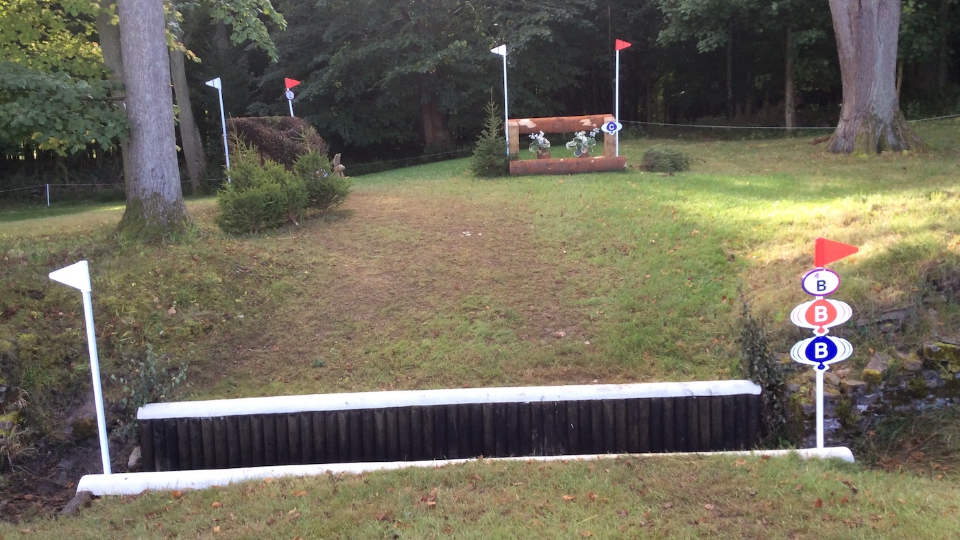 Blenheim ditch 2017