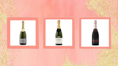 A Guide To The Best Champagne For Every Budget & Occasion 