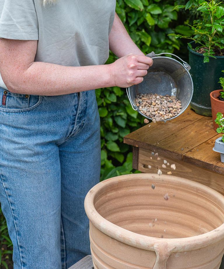 How to plant flowers in pots stepbystep guide to patio containers