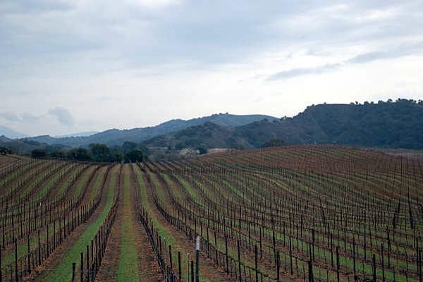 The Solvang terrain varies from rolling to mountainous.