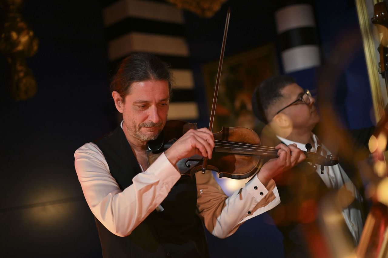 Nikon ZR sample images &ndash; musicians in a classsic interior; a violinist, double bass and accordian