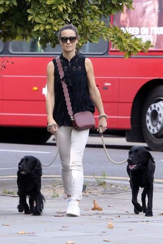 Pippa Middleton Takes her Dogs for a Walk