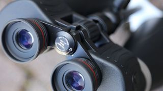 Celestron Skymaster Pro 20x80 binoculars