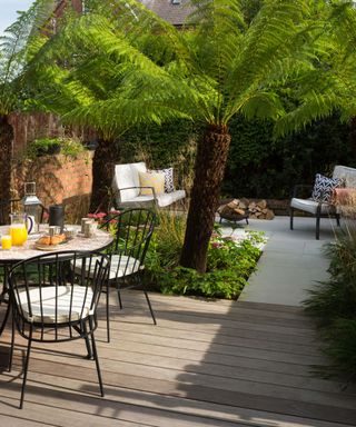 deck with table and chairs, tree fern and fire pit