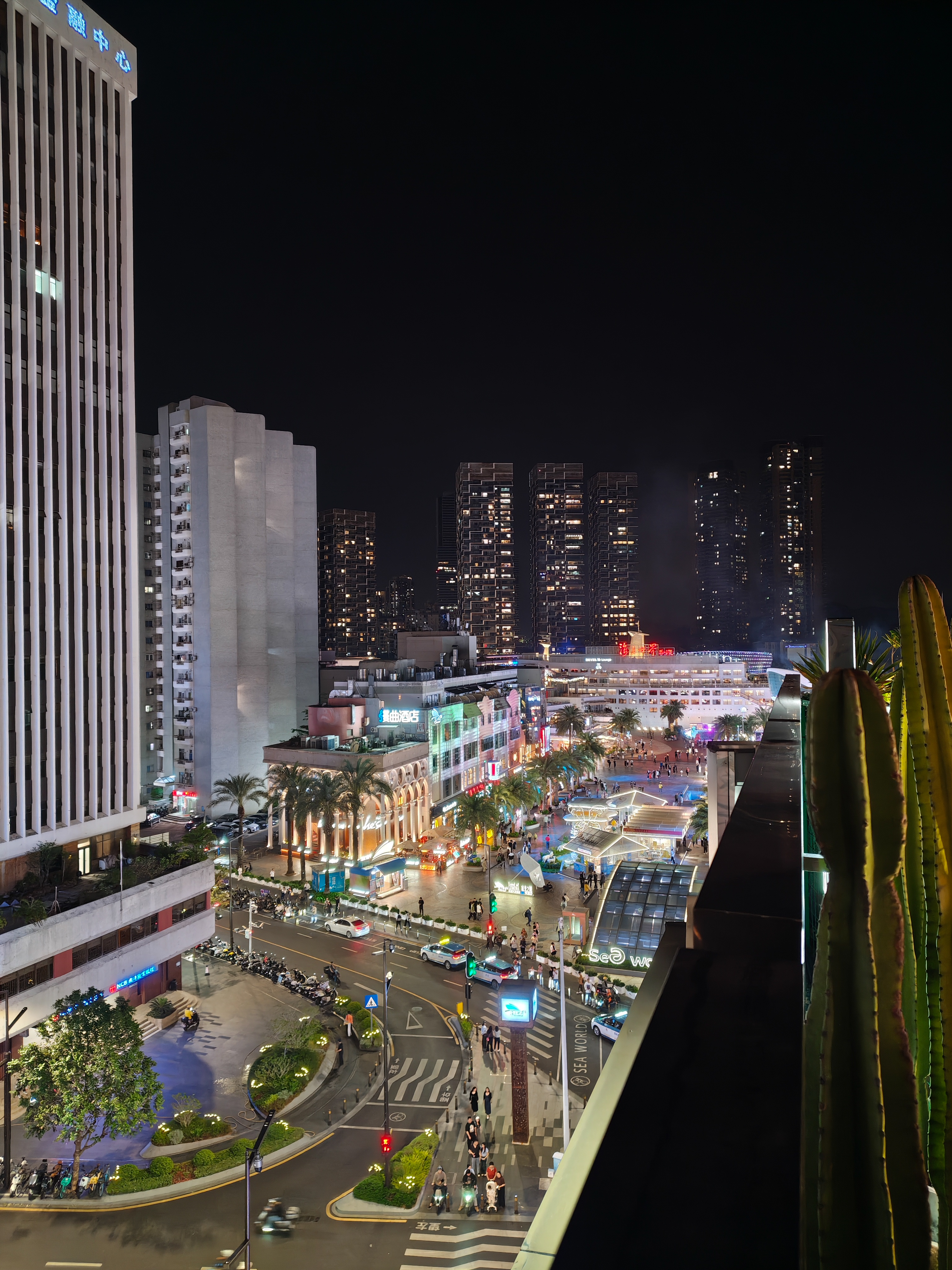A wide-angle night view from a high vantage point overlooking a city street and a commercial area. Tall, illuminated apartment buildings rise in the background. In the foreground, a road with white lane markings curves past a brightly lit shopping area. A large cactus is visible on the right, framing the edge of the shot.