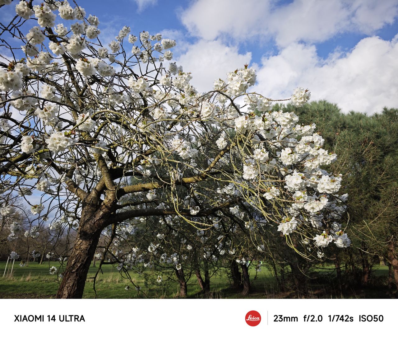 A photo captured on the Xiaomi 14 Ultra