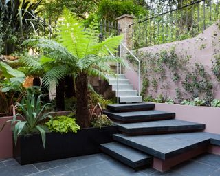 basement garden with pink painted walls and tropical shrubs