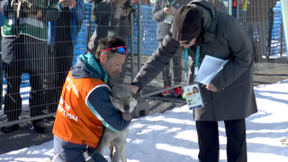 the dog who crashed the women's cross country ski race at the 2026 olympics being held by officials