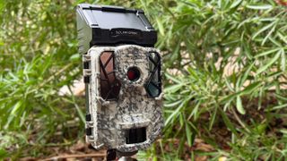 Spypoint Dark Solar trail camera