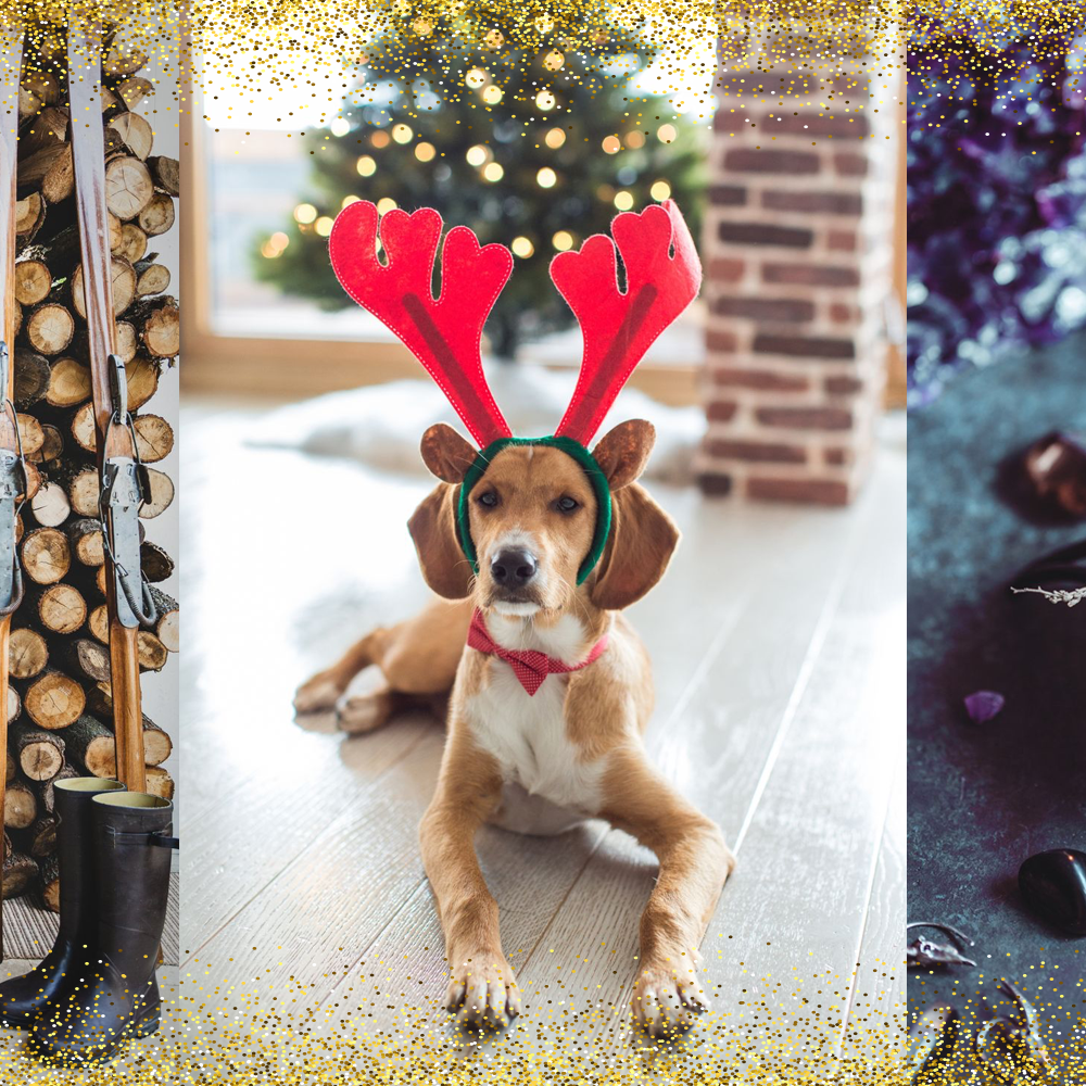 christmas theme attire