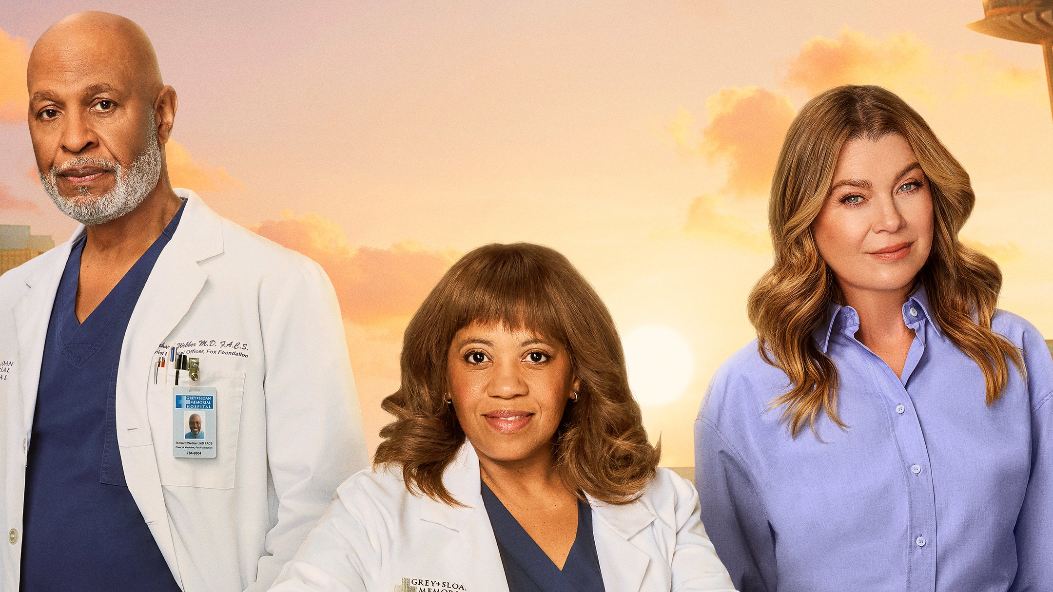 James Pickens Jr. as Dr. Richard Webber,Chandra Wilson as Dr. Miranda Bailey and Ellen Pompeo as Dr. Meredith Grey respectively in Grey's Anatomy poster