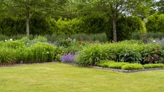 A mixed flower border next to a green lawn