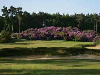 Swinley Forest Golf Club Course Review