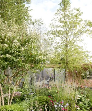 airy planting of grasses, trees and flowers