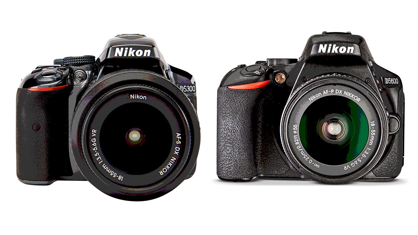 Nikon D5300 vs D5600: Which camera should you buy? | Digital