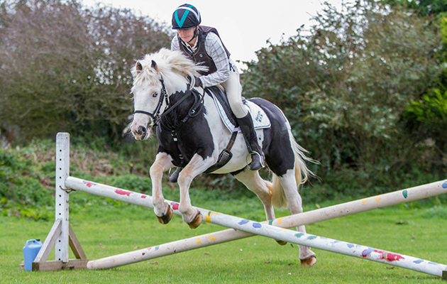 World Horse Welfare's rehomed horse of the year awards