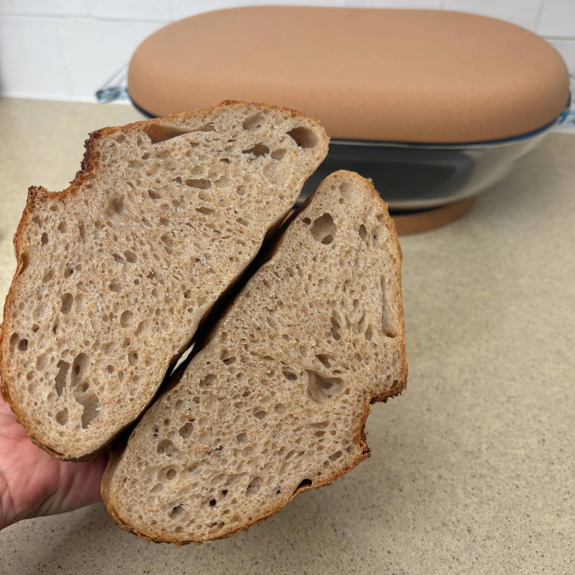 Testing the SourHouse DoughBed Sourdough Keeper