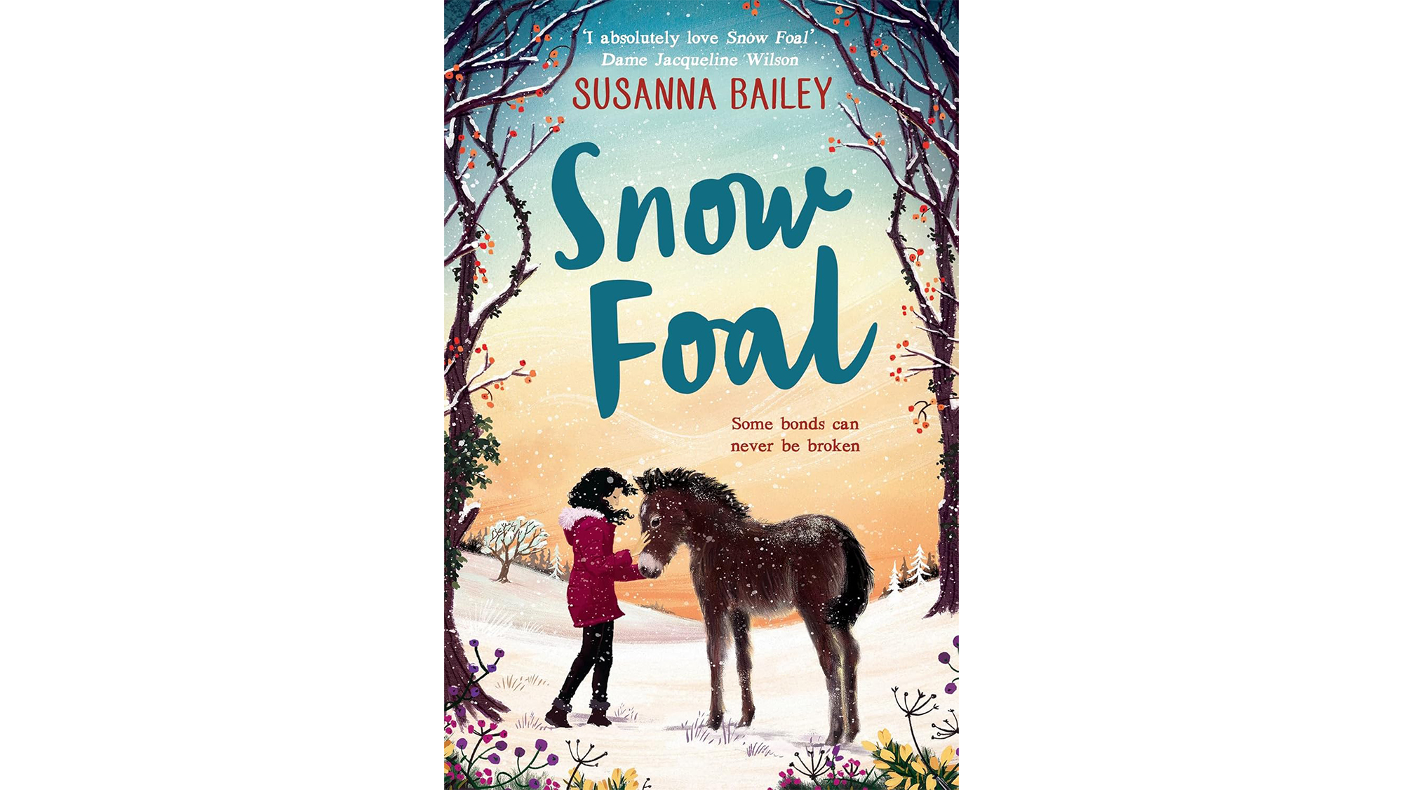 Snow Foal book
