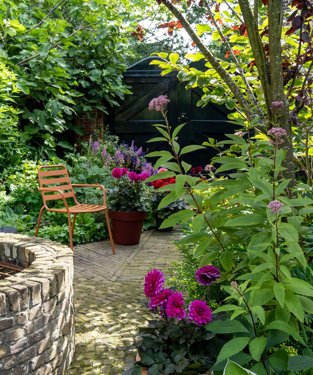 Best trees for privacy: 10 ways to screen a plot from view | Gardeningetc