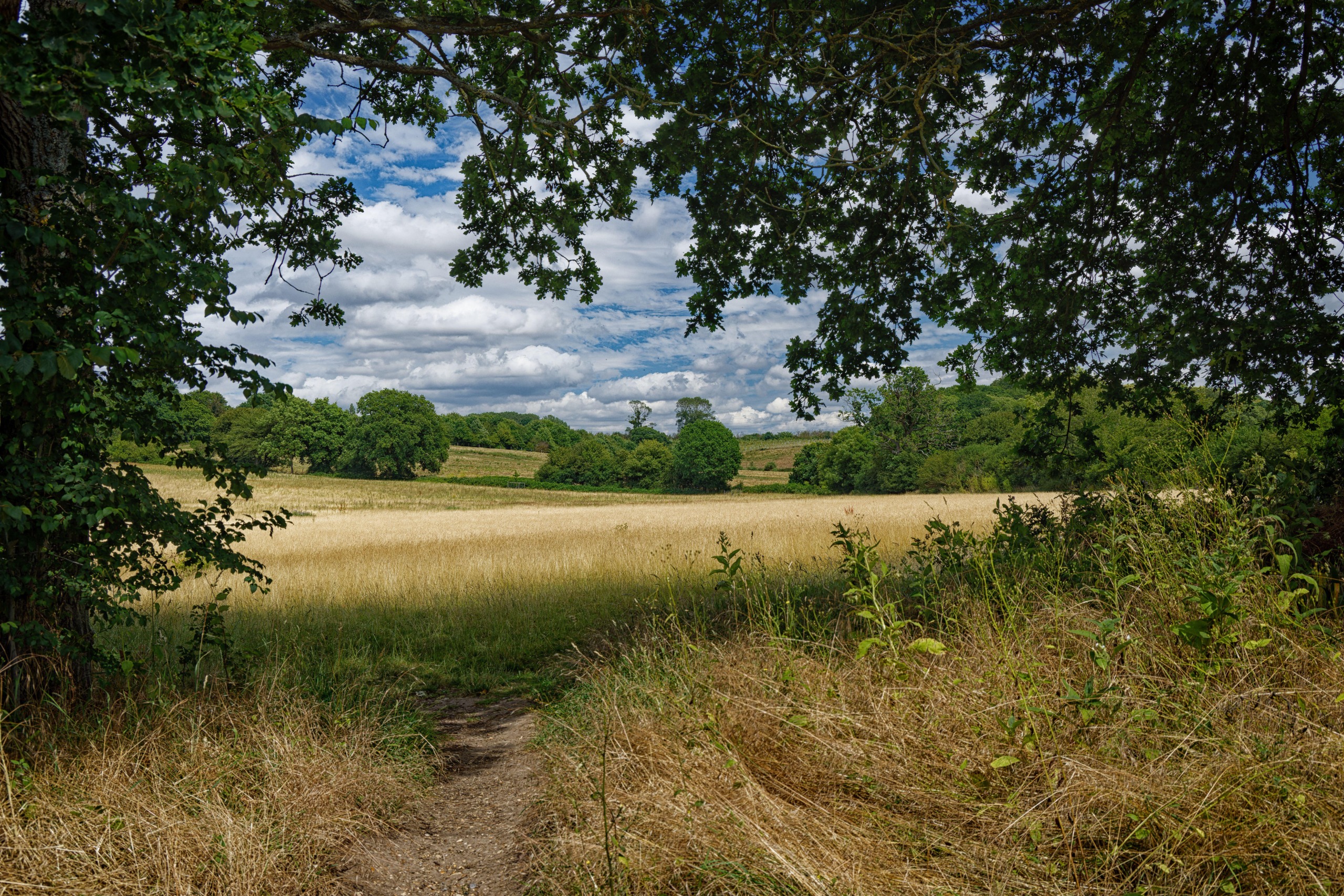 Suffolk countryside