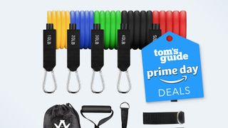 a photo of the Whatafit Resistance Bands Set