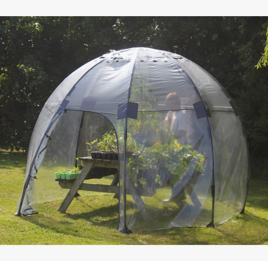 A growing bubble tent being used over a table of plants