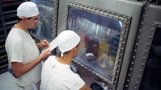 nasa experiment where they fed moon rocks to roaches