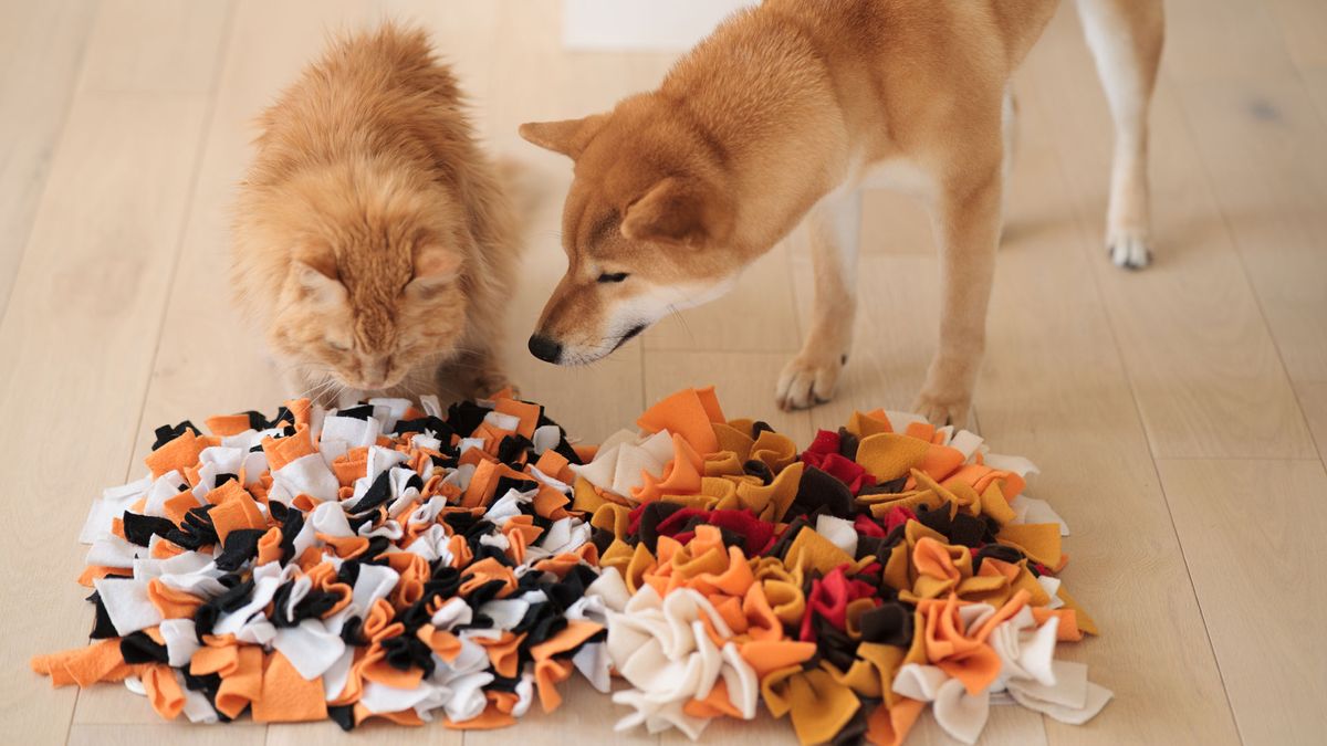 Dog snuffling mat