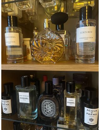 Shannon Lawlor's collection of underrated perfumes