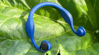 The Zygo Solo headphones in blue pictured on a green leaf.